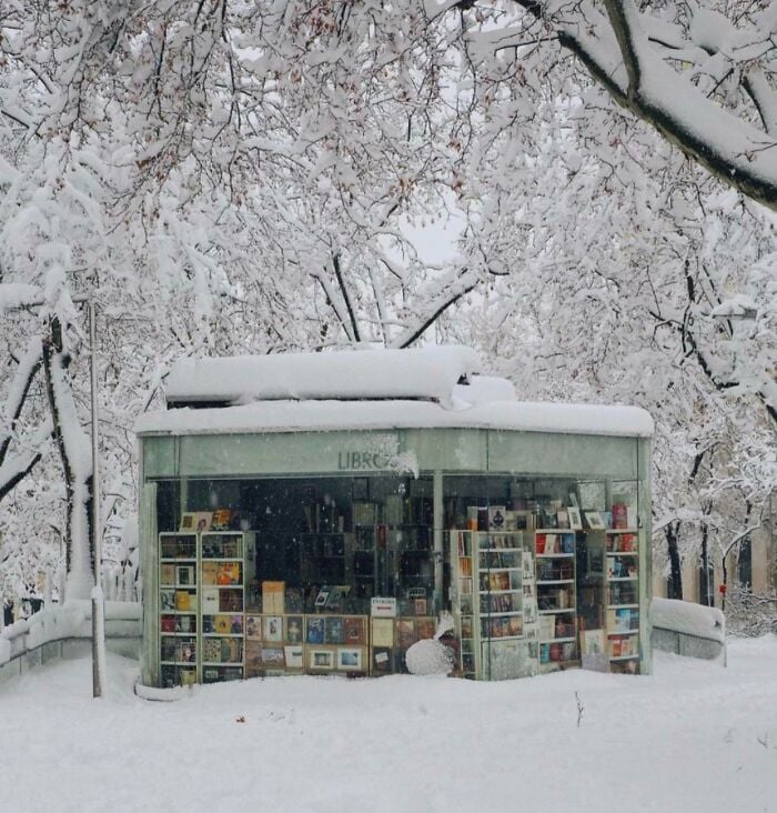 Ein schneebedeckter, gem&uuml;tlicher B&uuml;cherkiosk, umgeben von gefrosteten B&auml;umen, der B&uuml;cher in einer magischen Winterlandschaft pr&auml;sentiert.