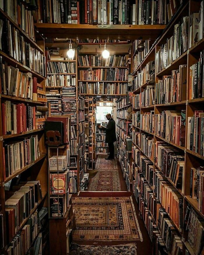 Gem&uuml;tliche und grandiose Bibliothek mit hohen Holzregalen voller B&uuml;cher und einer Person, die in einer magischen Buchhandlung st&ouml;bert.