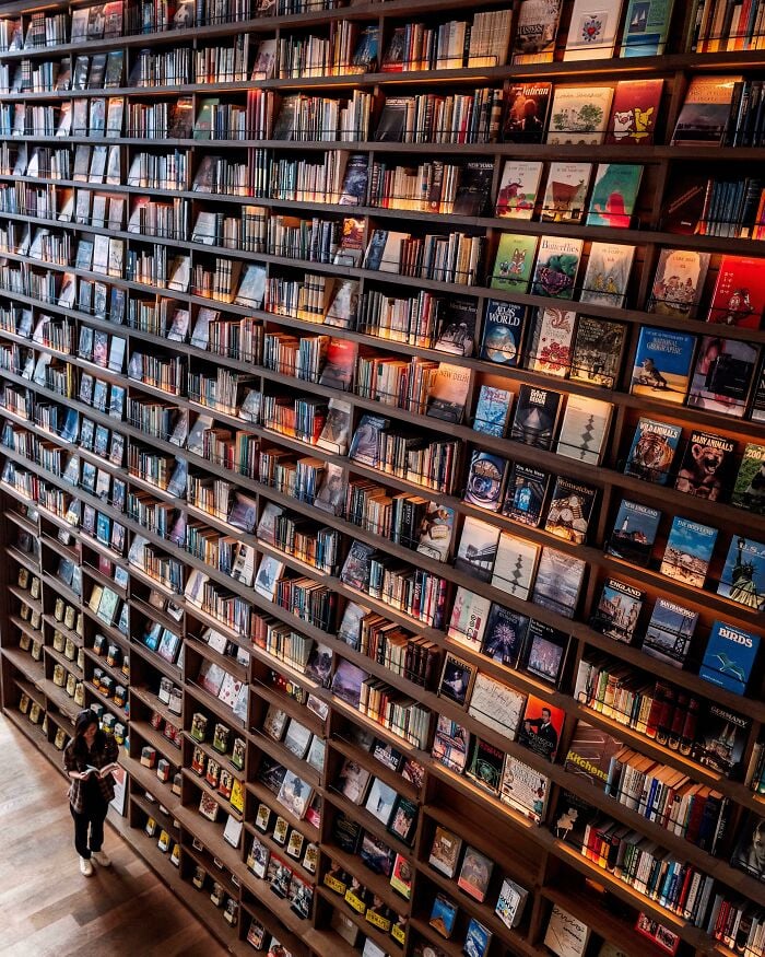 Große, grandiose Bibliothek mit umfangreichen, mit Büchern gefüllten Bücherregalen und einer Person, die in dem gemütlichen Raum liest. Große, grandiose Bibliothek mit umfangreichen, mit Büchern gefüllten Bücherregalen und einer Person, die in dem gemütlichen Raum liest.