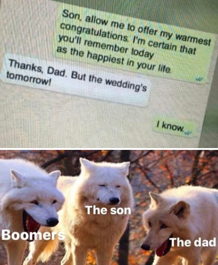 Mème de message texte sur l'humour du jour du mariage associé à un mème de meute de loups étiqueté illustrant les boomers, le fils et le père.